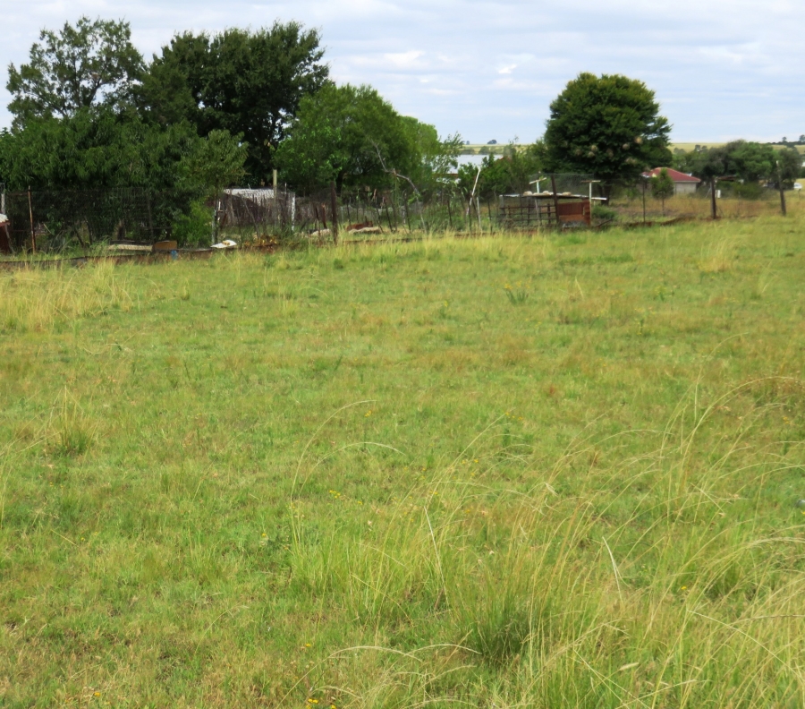 0 Bedroom Property for Sale in Oranjeville Free State